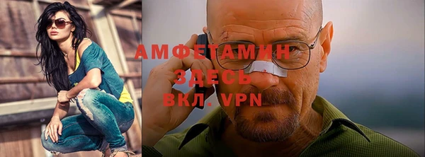 шишки Абинск