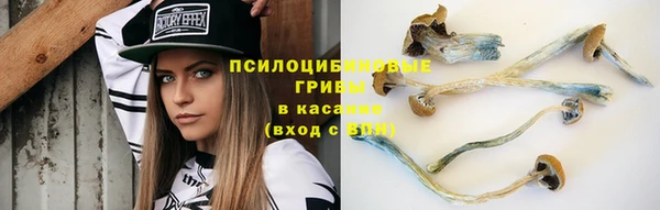 шишки Абинск