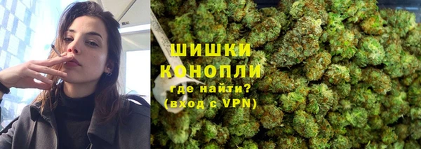 дурь Осташков