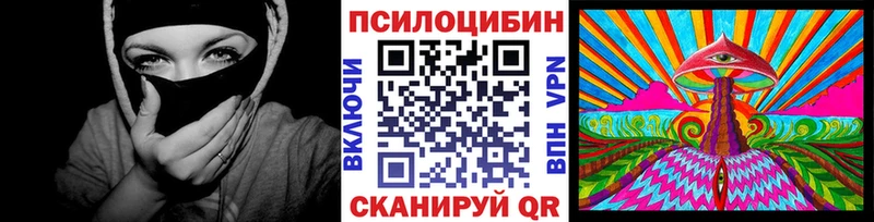 darknet Telegram Абинск Псилоцибиновые грибы мицелий магазин наркотиков